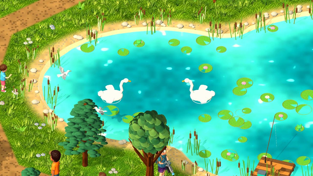 Swans on a clean forest pond